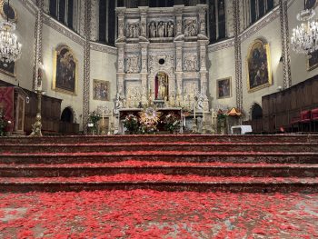 pluie de roses